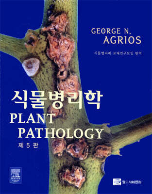 �Ĺ�������