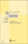 Algebraic Number Theory