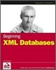 Beginning XML Databases