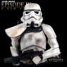 ��Ÿ���� EP 3: Sandtrooper Sergeant Bust