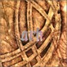 Ark (��ũ) 1�� - 3rd History
