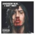 Andrew W.K. - I Get Wet