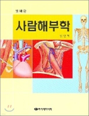 ����غ��� (��4��)