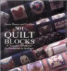 501 Quilt Blocks