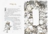 ��� ���� ��ȭ