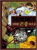 Science �ű��� ���� ������