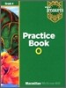 Treasures Grade 4 : On-Level Practice Book