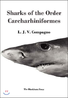 Sharks of the Order Carcharhiniformes