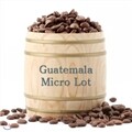 [ī������� ������Ŀ��] ���׸��� Micro Lot 200g