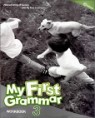 My First Grammar 3 : Workbook