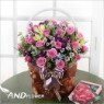 [�����ɹ��] ����ī��(Pink) [���ϼ��� ��꼱�� �ɹ�� ��ȥ����ϼ��� �ɹٱ���]
