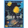 ������ �ڿ� 3 - DVD