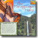 Oscar Benito - The Paraguayan Harp