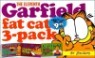 Garfield Fat Cat 3-Pack #11