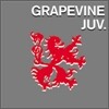 GRAPEVINE (�׷���������) - Juvenile