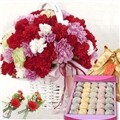 ����ؿ�ٱ���+���Ӷ�(�ɹ��,�θ�Լ���,����̳�,�����ǳ�,ī���̼�,ȿ������,����������)