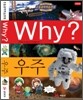 Why? ���� ����