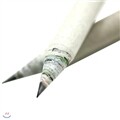 [steam] steam natural pencil(���� ����)