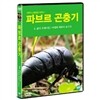 �ĺ긣 ����� 2 : ���� ���� / ���� ������ �¸���
