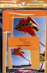 [Brain Bank] G1 Social Studies 17 : Kite Day