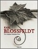 [Taschen 25th Special Edition] Karl Blossfeldt