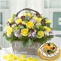 [����/�����ǹ��] ťƼ(���ο�)+���� [���ϼ��� ��꼱�� ��ȥ����ϼ��� �ɹٱ��� �ɹ�� ����̳����� �����ǳ�����]