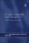 Eu Labour Migration Since Enlargement