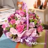 [����/�������Ϻ�] ������(������ũ) [���ϼ��� ��꼱�� �ɹ�� ��ȥ����ϼ��� �ɹٱ��� ����̳����� �����ǳ�����]