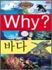 Why? ���� �ٴ�