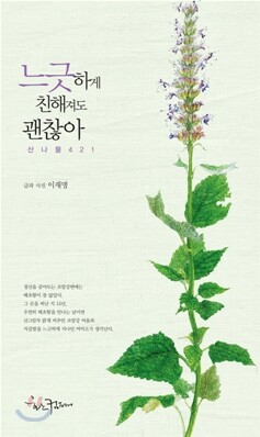 느긋하게