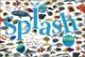 Splash �ٴ� ����