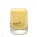 [����ĵ��] ũ��������Ʈ�� (Christmas Tree) 70g, £�� �ҳ����� ������ ��~~