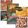 Scholastic Time-to-Discover Readers : Billions of Bugs