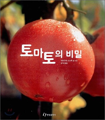 토마토의