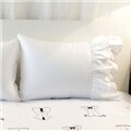 ��������Ŀ��white(������)