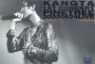 ��Ÿ - 1st Concert Pinetree (20020824 Live)
