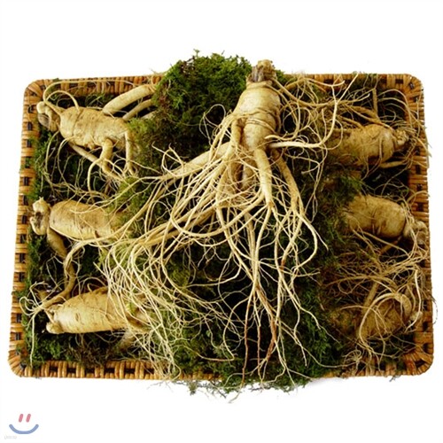 [秀(수)홍삼사랑] 6년근 수삼 1채 대 7 - 8 편 - YES24 [秀(수)홍삼사랑] 6년근 수삼 1채 대 7 - 8 편