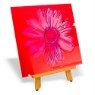 [��Ʈ���ڸ���]W792e(W875e) �ص��Ȧ Warhol /������ Daisy (crimson and pink) - ��ũ���� ����