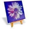 [��Ʈ���ڸ���]w878e �ص��Ȧ Warhol-������ Daisy(blue on blue) - ��ũ���� ����