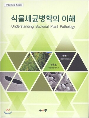 �Ĺ����պ����� ����