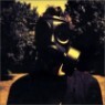 Steven Wilson - Insurgentes
