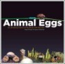 Animal Eggs