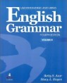 Understanding and Using English Grammar, 4/E : Student Book B