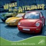 What Is an Attribute?