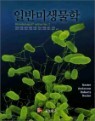 �Ϲݹ̻�����