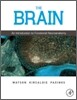 The Brain