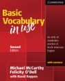 Basic Vocabulary In Use with Answers