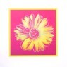 [��Ʈ���ڸ���] BW876 �ص��Ȧ Andy Warhol / Daisy (Fuschia)  ��ũ�������� 35*35cm
