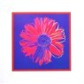 [��Ʈ���ڸ���] BW877 �ص��Ȧ Andy Warhol Daisy (Blue & Red)  ��ũ��������