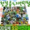 [���̶�] ù ���� �ڿ����� (��66��) + ġŰġŰâ��20������